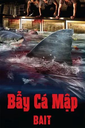 Bẫy cá mập Bẫy cá mập