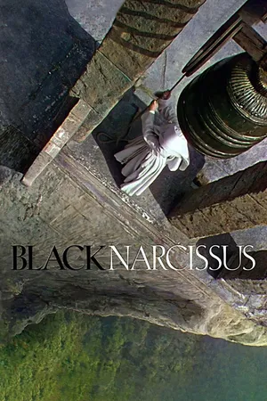 Black narcissus Black narcissus