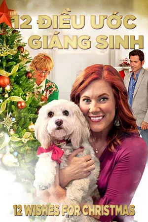 12 điều ước giáng sinh 12 điều ước giáng sinh