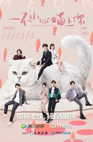 Bất cẩn meow phải anh Bất cẩn meow phải anh