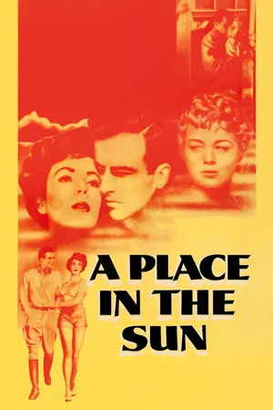 A place in the sun A place in the sun