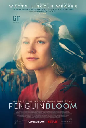 Cánh cụt nhà bloom Cánh cụt nhà bloom