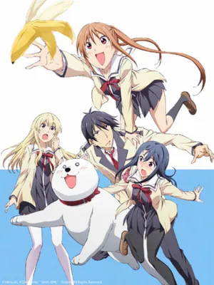 Cô nàng ngốc - aho girl Cô nàng ngốc - aho girl