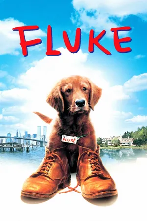 Chú chó fluke Chú chó fluke