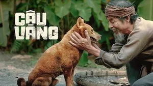 Cậu vàng Cậu vàng