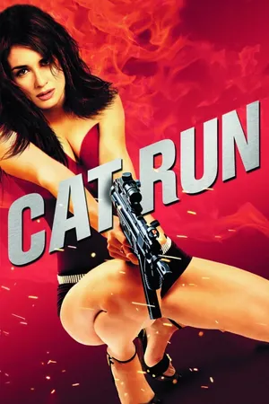 Cat run Cat run