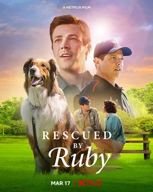 Chó cứu hộ ruby Chó cứu hộ ruby