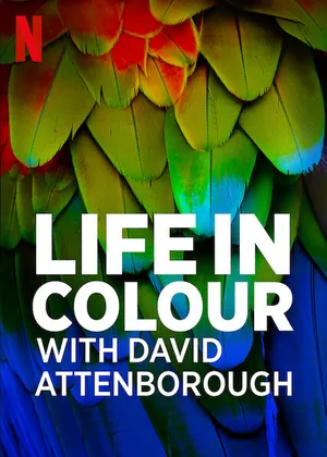 David attenborough: sự sống đầy màu sắc David attenborough: sự sống đầy màu sắc