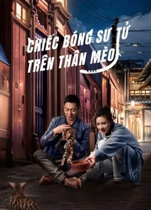 Chiếc bóng sư tử trên thân mèo Chiếc bóng sư tử trên thân mèo