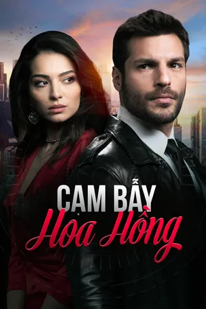 Cạm bẫy hoa hồng Cạm bẫy hoa hồng