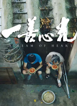 Chùm sáng của trái tim Chùm sáng của trái tim