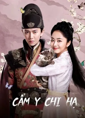 Cẩm y chi hạ Cẩm y chi hạ