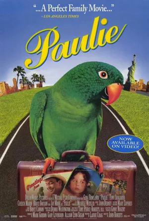 Chú vẹt paulie Chú vẹt paulie