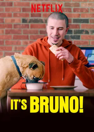 Chú chó bruno Chú chó bruno