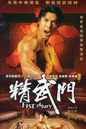 Fist of fury Fist of fury