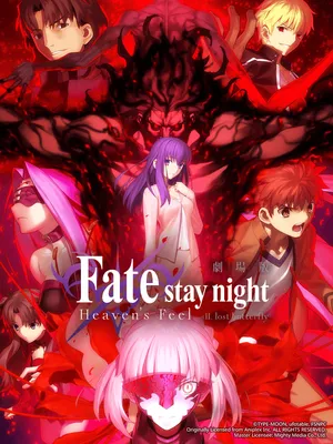 Fate/stay night (heaven's feel) ii. cánh bướm lạc đường Fate/stay night (heaven's feel) ii. cánh bướm lạc đường