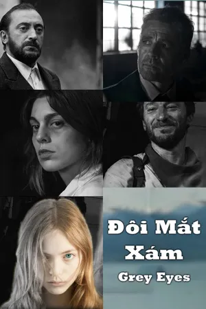 đôi mắt xám đôi mắt xám