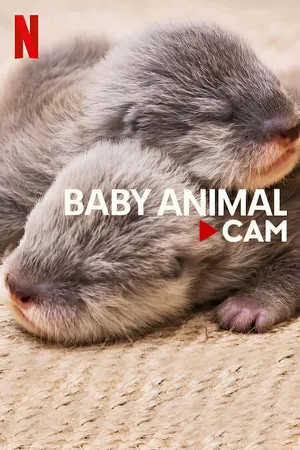 động vật bé cưng trên camera động vật bé cưng trên camera
