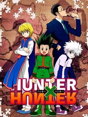 Hunter x hunter Hunter x hunter