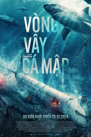 Vòng vây cá mập Vòng vây cá mập