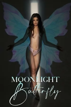 Moonlight butterfly Moonlight butterfly
