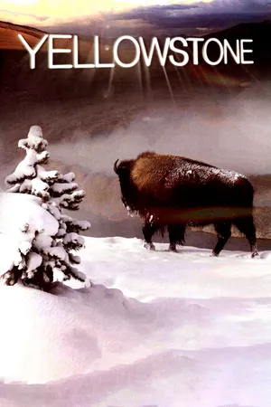 Yellowstone Yellowstone