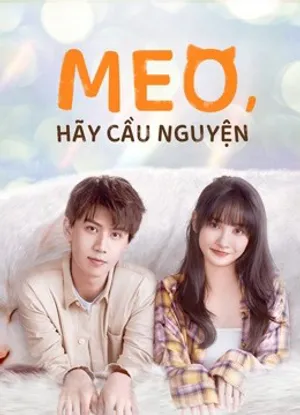 Meo, hãy cầu nguyện Meo, hãy cầu nguyện