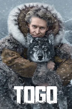 Togo Togo
