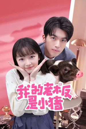 Sếp của tôi là chú lợn nhỏ Sếp của tôi là chú lợn nhỏ