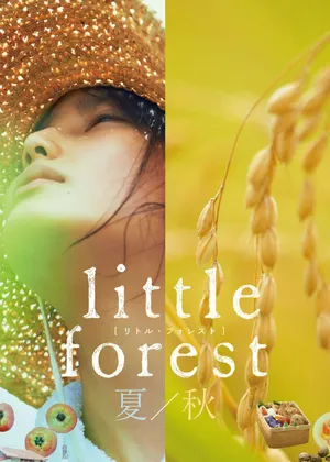Little forest: summer/autumn Little forest: summer/autumn