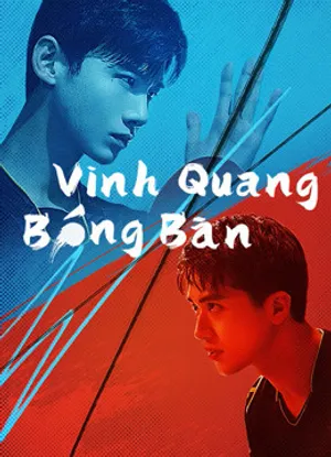 Vinh quang bóng bàn Vinh quang bóng bàn
