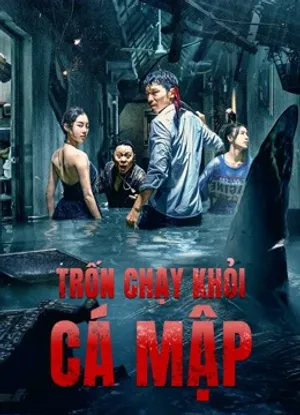 Trốn chạy khỏi cá mập Trốn chạy khỏi cá mập