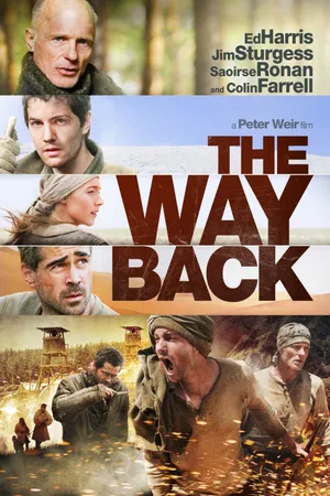 The way back The way back