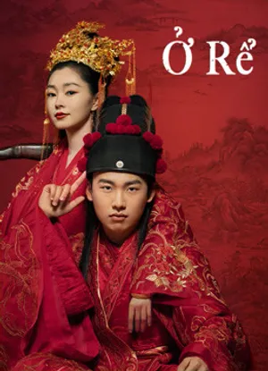 ở rể ở rể