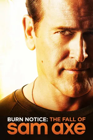 Thất bại của sam axe Thất bại của sam axe