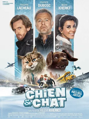Mèo và Chó Mèo và Chó