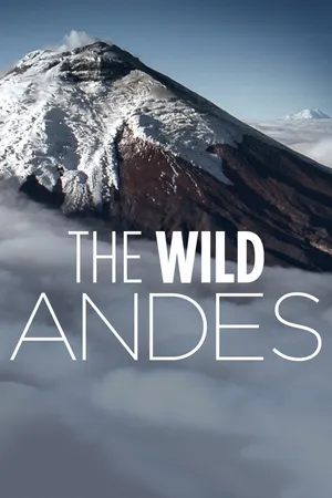 The wild andes The wild andes