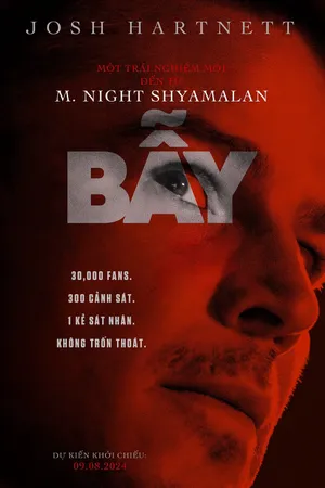 Bẫy Bẫy